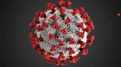 corona virus